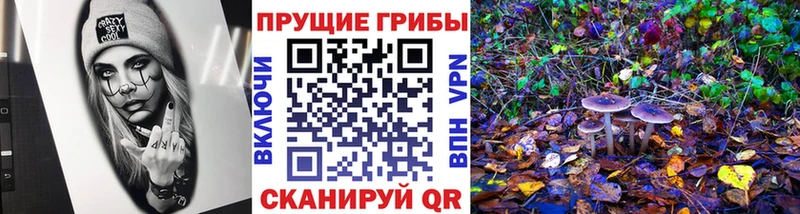 Галлюциногенные грибы ЛСД  Купить где  Покровск 